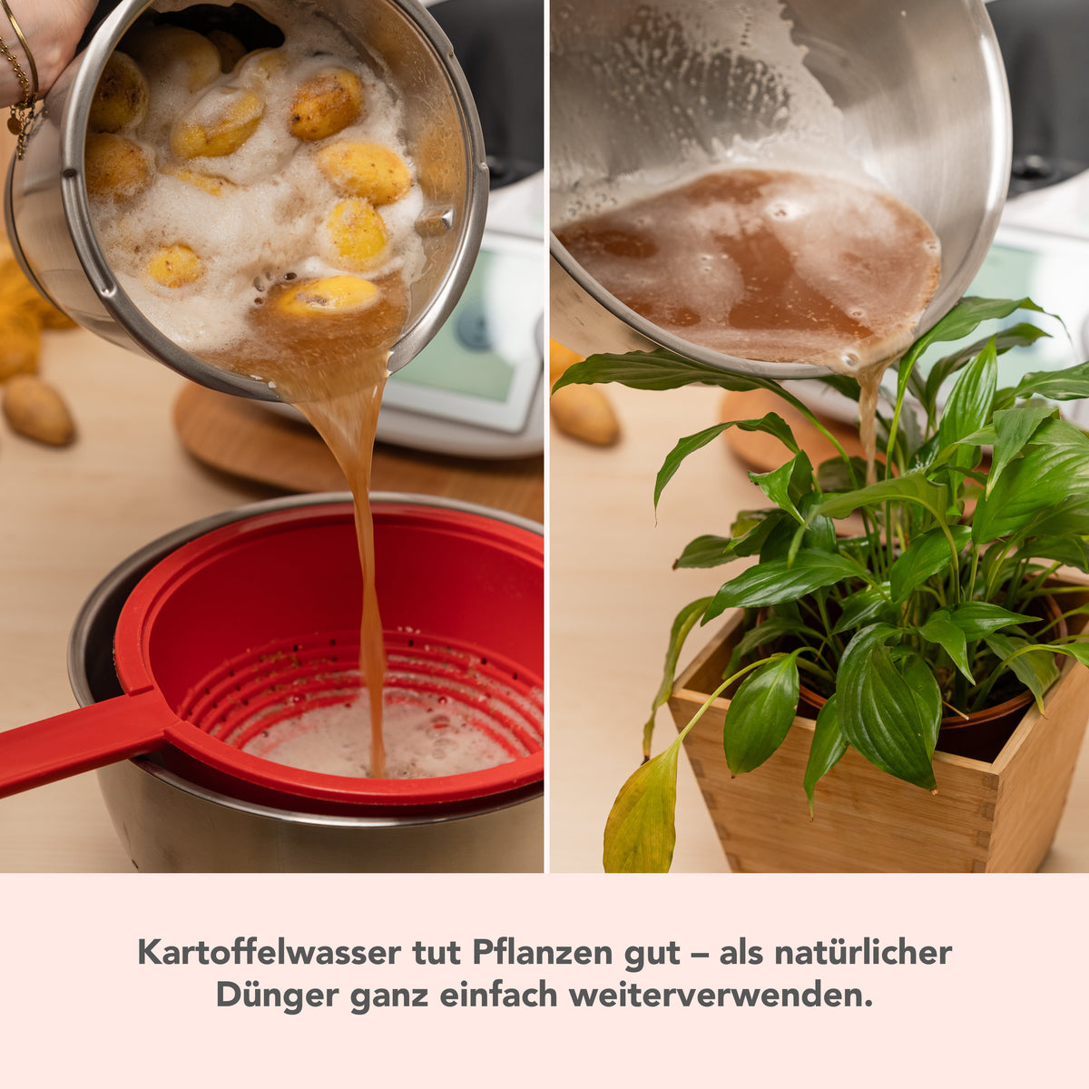 WunderPeeler® (mit Träger) | Kartoffelschäler-Aufsatz für Thermomix TM7, TM6, TM5, TM31
