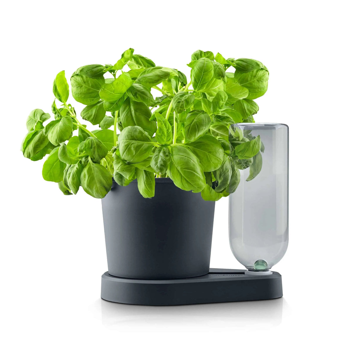 Herbimizer® | Kräutertopf mit automatischem Bewässerungssystem